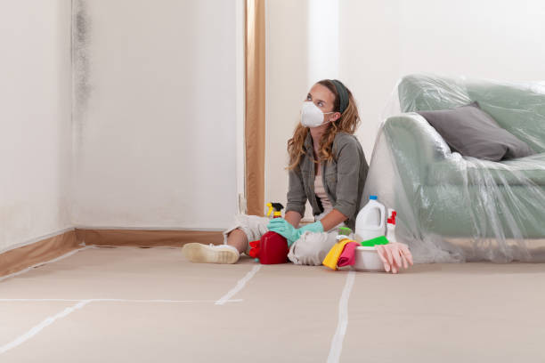 Reliable Mold Removal contractor in Sterling, VA by WQB Mold Removal